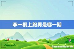 李一桐上跑男是哪一期