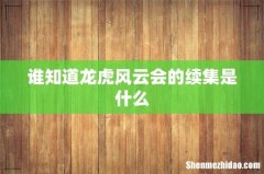 谁知道龙虎风云会的续集是什么