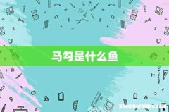 马勾是什么鱼
