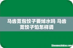马齿苋包饺子要焯水吗 马齿苋饺子馅怎样调