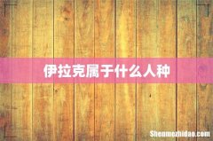 伊拉克属于什么人种