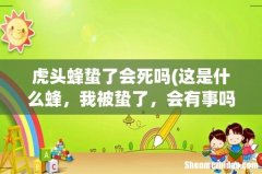 这是什么蜂，我被蛰了，会有事吗 虎头蜂蛰了会死吗