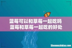 蓝莓可以和草莓一起吃吗 蓝莓和草莓一起吃的好处
