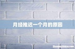 月经推迟一个月的原因