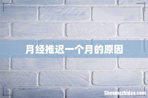 月经推迟一个月的原因