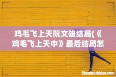 《鸡毛飞上天中》最后结局怎么样？ 鸡毛飞上天阮文雄结局