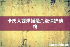 卡氏大西洋鳐是几级保护动物