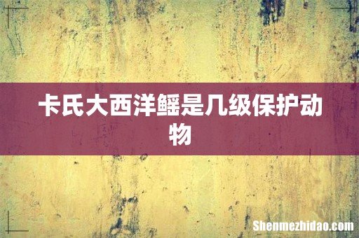 卡氏大西洋鳐是几级保护动物