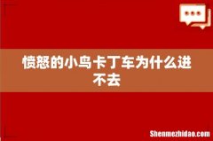 愤怒的小鸟卡丁车为什么进不去