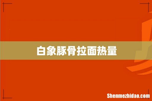 白象豚骨拉面热量