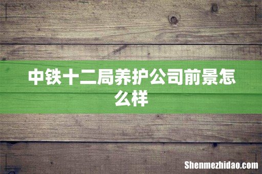 中铁十二局养护公司前景怎么样