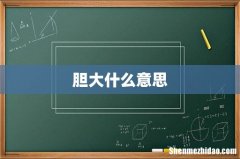 胆大什么意思