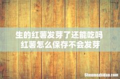 生的红薯发芽了还能吃吗 红薯怎么保存不会发芽
