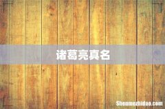 诸葛亮真名
