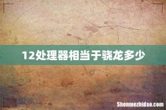 12处理器相当于骁龙多少
