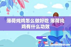 薄荷炖鸡怎么做好吃 薄荷炖鸡有什么功效