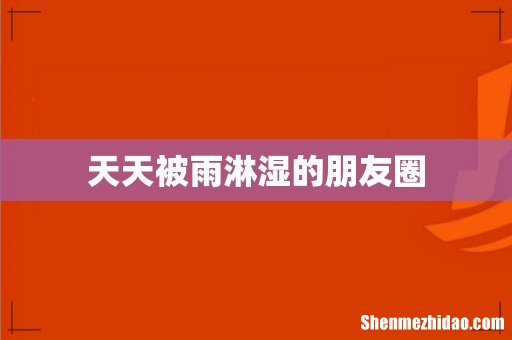天天被雨淋湿的朋友圈