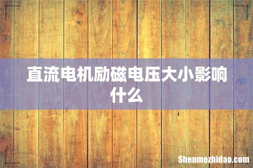直流电机励磁电压大小影响什么