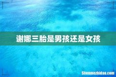 谢娜三胎是男孩还是女孩