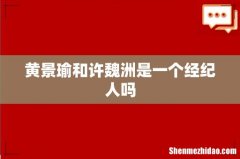 黄景瑜和许魏洲是一个经纪人吗