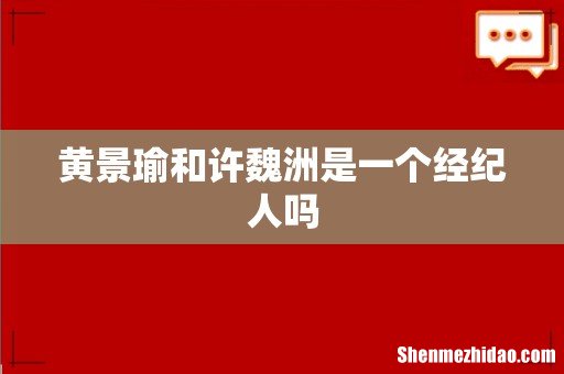 黄景瑜和许魏洲是一个经纪人吗