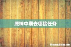 原神中期去哪接任务