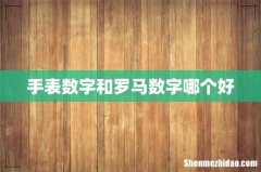 手表数字和罗马数字哪个好