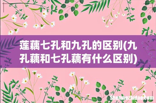 九孔藕和七孔藕有什么区别 莲藕七孔和九孔的区别