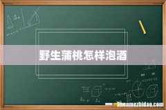 野生蒲桃怎样泡酒