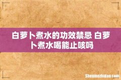 白萝卜煮水的功效禁忌 白萝卜煮水喝能止咳吗