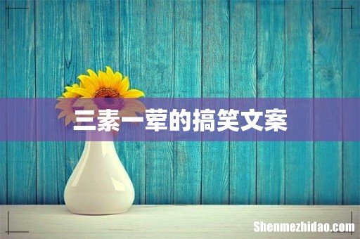 三素一荤的搞笑文案