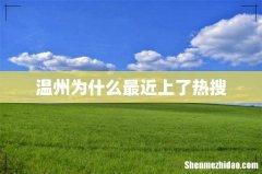 温州为什么最近上了热搜