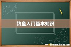 钓鱼入门基本知识