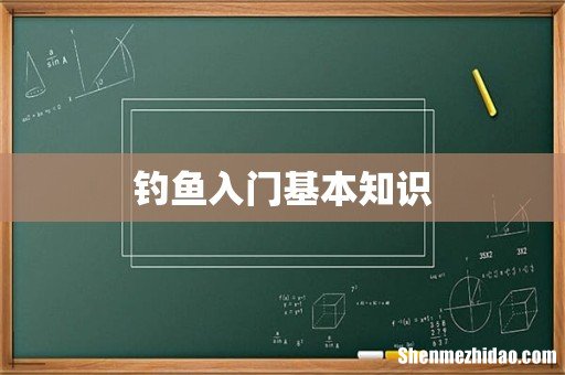 钓鱼入门基本知识