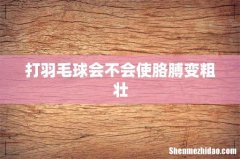 打羽毛球会不会使胳膊变粗壮