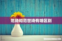 范琦和范世琦有啥区别