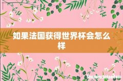 如果法国获得世界杯会怎么样