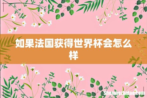 如果法国获得世界杯会怎么样