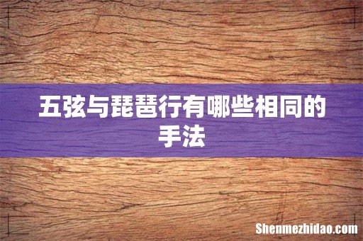 五弦与琵琶行有哪些相同的手法