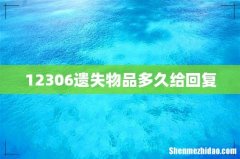 12306遗失物品多久给回复