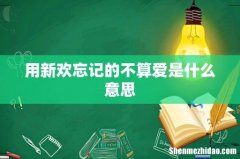 用新欢忘记的不算爱是什么意思