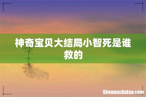 神奇宝贝大结局小智死是谁救的