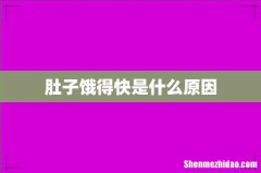 肚子饿得快是什么原因