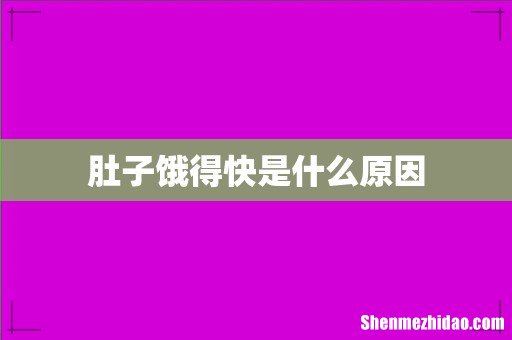 肚子饿得快是什么原因