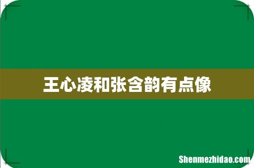王心凌和张含韵有点像