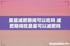 桑葚减肥期间可以吃吗 减肥期间吃桑葚可以减肥吗