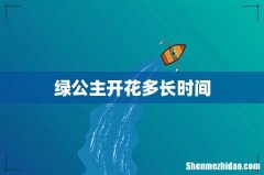 绿公主开花多长时间
