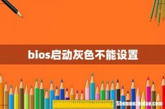 bios启动灰色不能设置