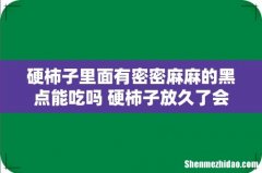 硬柿子里面有密密麻麻的黑点能吃吗 硬柿子放久了会变成软柿子吗