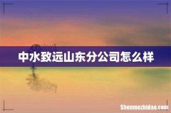 中水致远山东分公司怎么样
